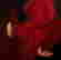 item-134680825=8