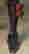 item-134680829=5