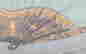 item-134680862=15
