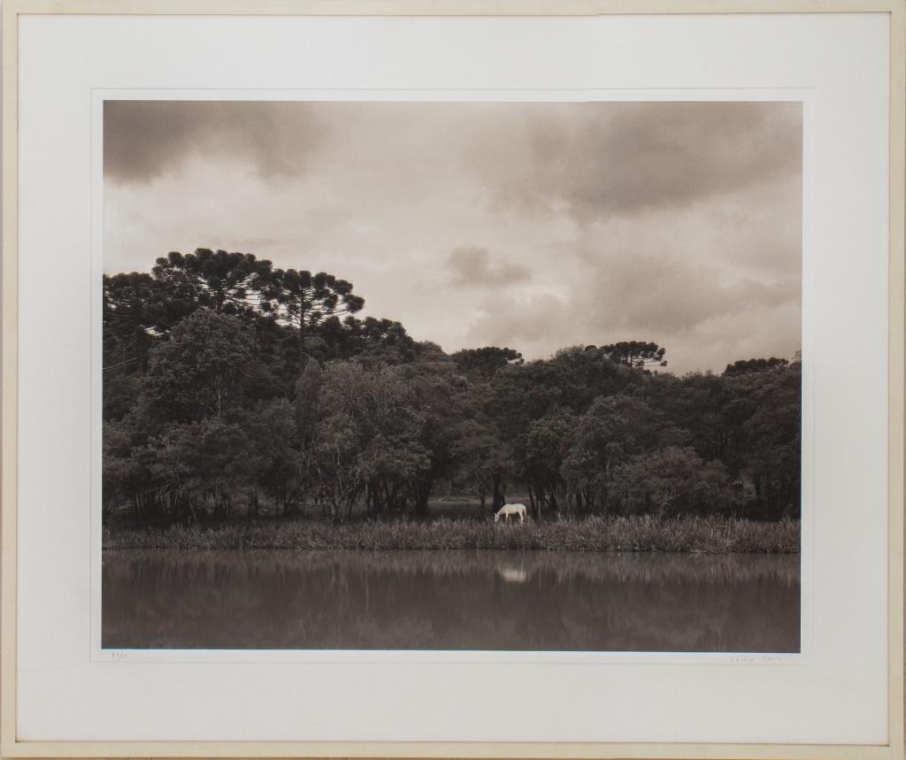 Cruz "Paisagem com Cavalo Branco" Photograph (1 of 11)