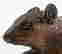 item-134680892=11