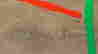 item-135392155=4