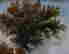 item-136428983=4