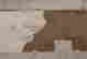 item-136429021=16