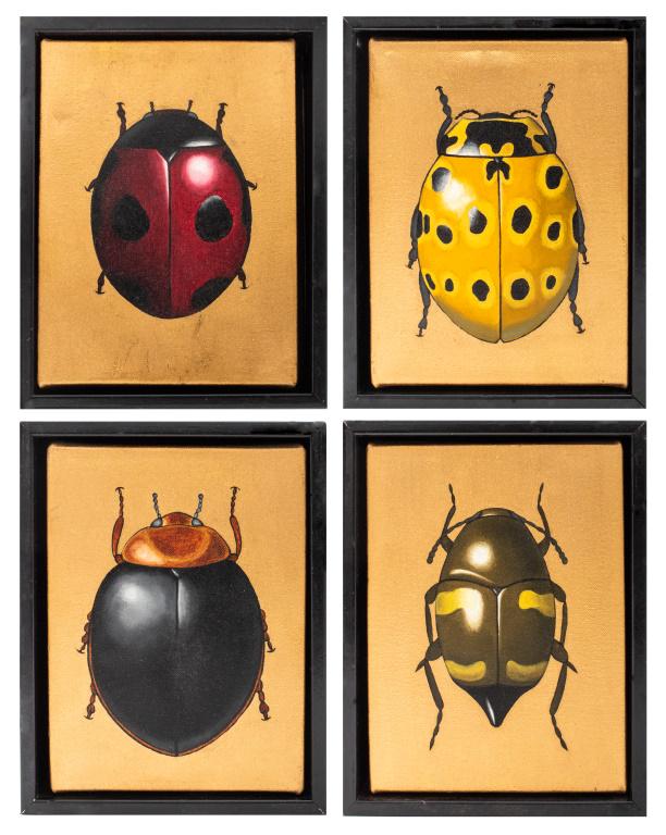 D.G.V. Four Beetles & Bugs Acrylic on Canvas, 4 (1 of 8)