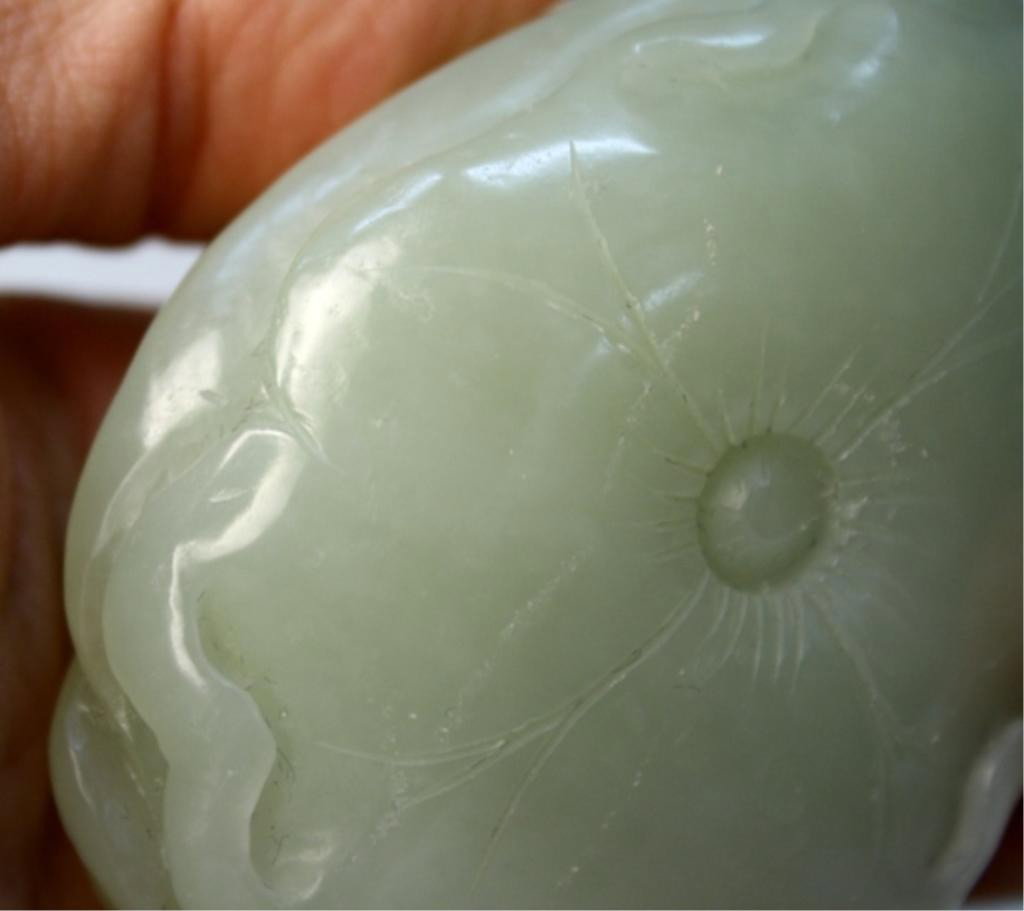 Chinese Jade Carving of Creature & Mushrooms - 4