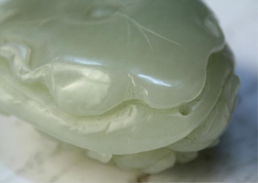 Chinese Jade Carving of Creature & Mushrooms - 9
