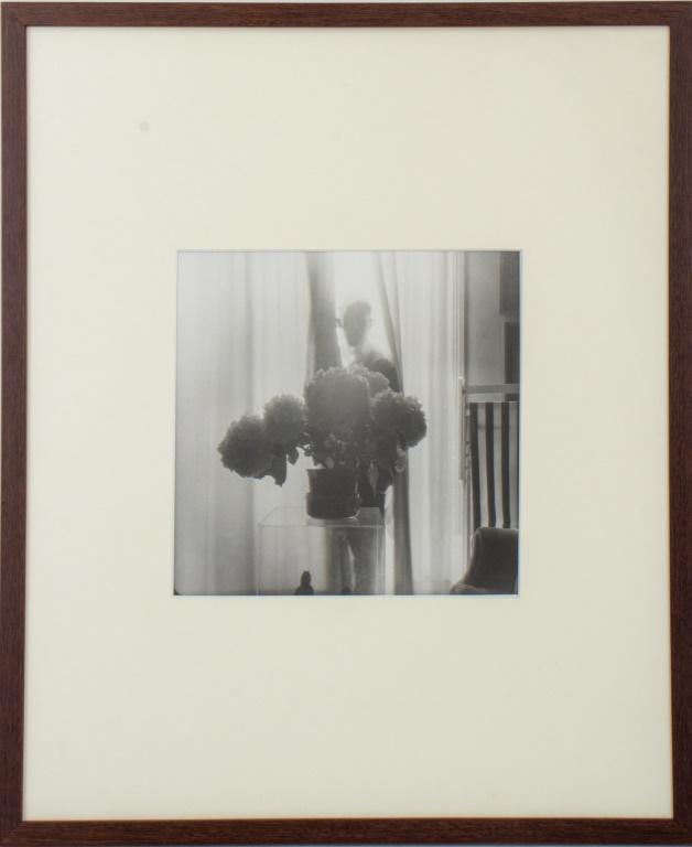Bernard Guillot, Hortensias, Silver Gelatin Print (1 of 11)