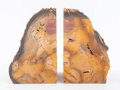 Petrified Wood Mineral Specimen Bookends, Pair: Pair of petrified wood mineral specimen sculpture bookends, each with two polished faces. Together: 7.25" H x 9" W x 3.5" D.