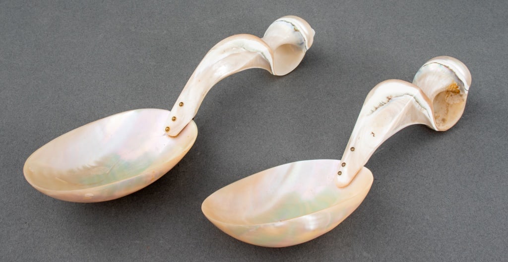 Nautilus Shell Spoons, Pair (1 of 11)