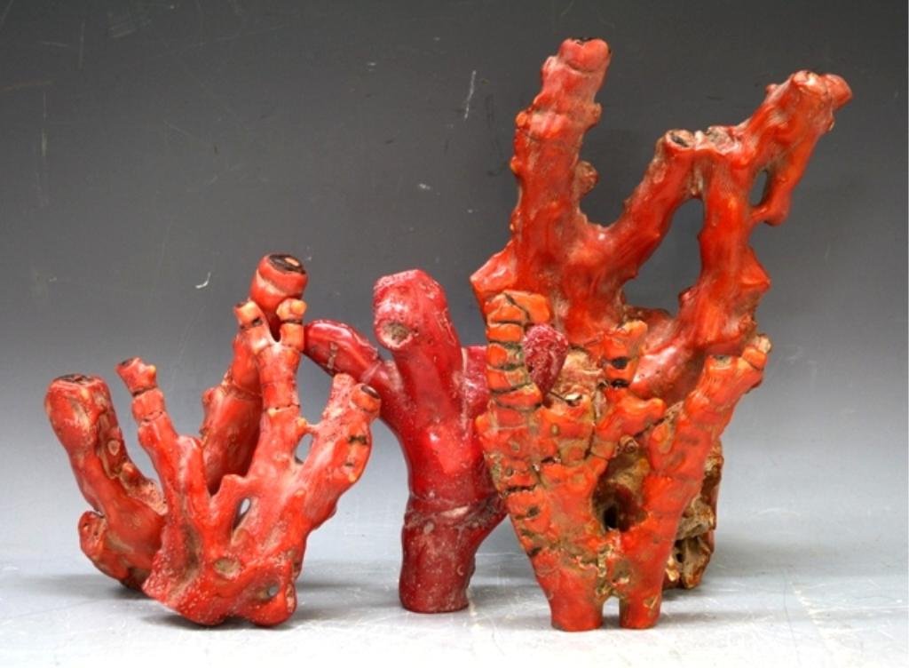 Lot of 5 Coral Branches: Five coral branches; unmarked. Dimensions: varying sizes.