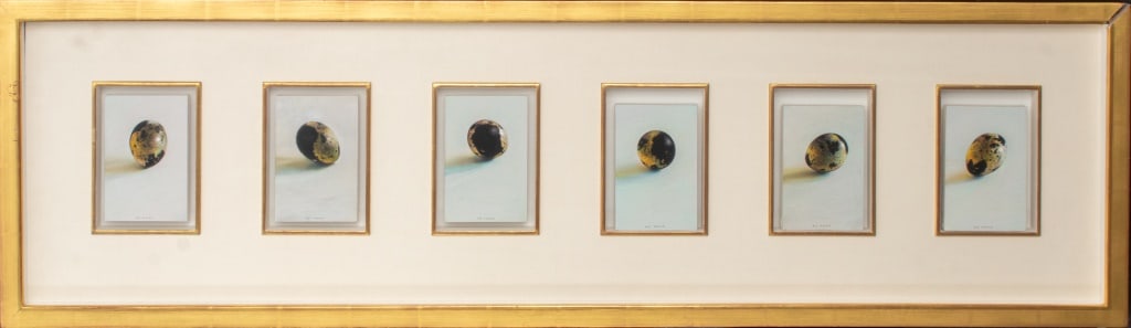 Andrew Hemingway "A Drama Out of the Ordinary" (1 of 12)