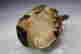 item-12317025=9