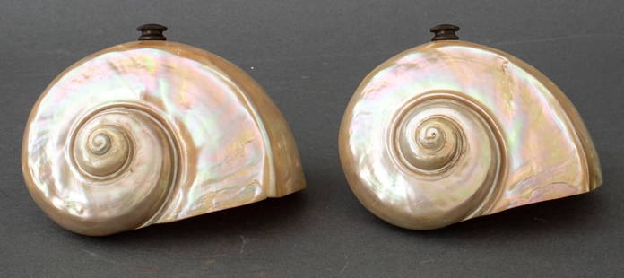 Polished Nautilus Shell Lamp Shades, Pair: Pair of Polished Nautilus Shell Lampshades, each with mount for attachment to a light bulb, the exterior shells polished to the pearlescent lower layer. 4.5" H x 6" W x 5.5" D. Provenance: From a Manh