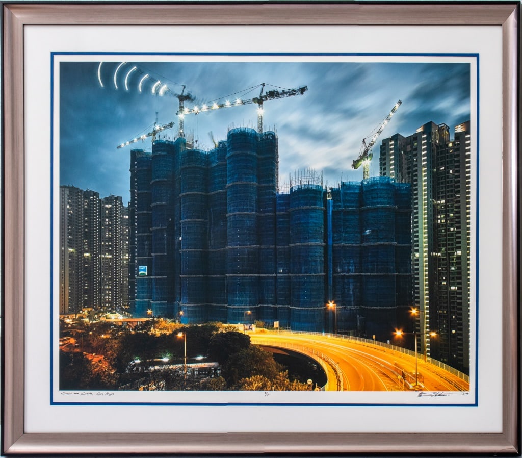 Peter Steinhauer "Cocoon and Cranes" Photograph (1 of 13)