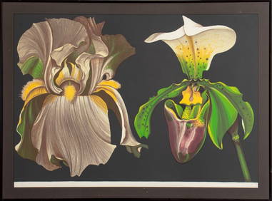 Lowell Nesbitt "Iris and Orchid" Lithograph, 1974 (1 of 6)