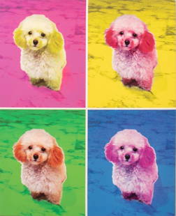 Warhol Style Portrait of a Dog Giclee: Andy Warhol Style Portrait of a Dog, Giclee on Canvas, unframed. 44" H x 36" W. Provenance: Property from a 910 5th Avenue estate. Keywords: Prints, Multiples, Pop Art, Contemporary Art, Miniature