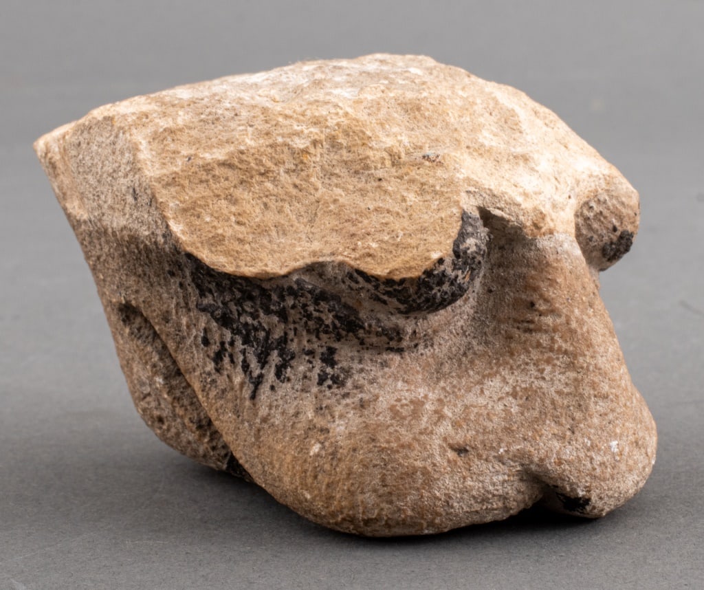 Ancient Persian Feline Form Carved Stone Fragment (1 of 7)