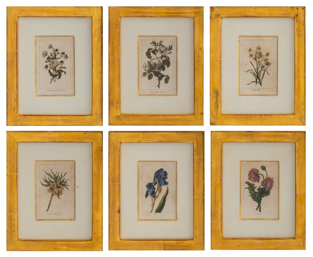 French Hand-Colored Botanical Prints, 1835, 6 (1 of 11)