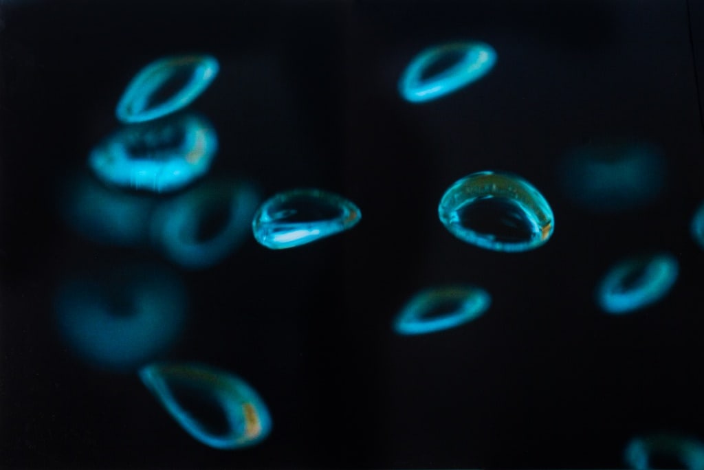 Contemporary "Water Droplets" Acrylic Print: Contemporary School, "Water Droplets" Acrylic Print. 32" H x 47.75" W. Provenance: Property from a collection in Mt. Kisco. Keywords: Prints, Multiples, Cells, Realism, Realist, Magnification, Focus,