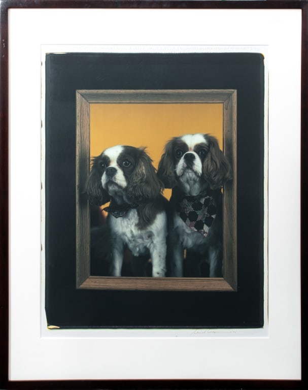 William Wegman "Spaniels" Chromogenic Print (1 of 10)