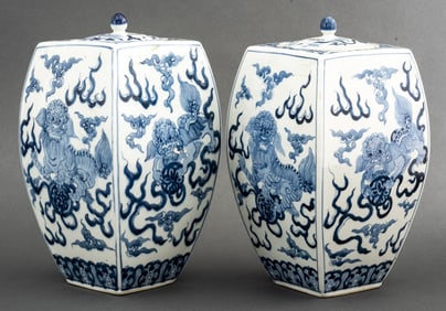 Chinese Blue & White Porcelain Vases, Pair