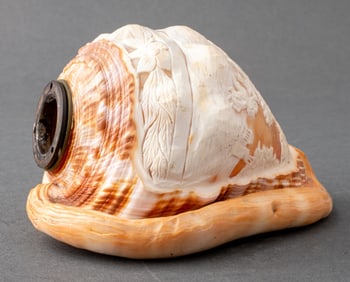 Italian Cameo Carved Conch Shell Light Shade