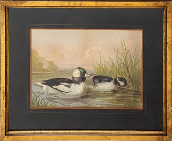 Alexander Pope Jr. Two Ducks Chromolithograph