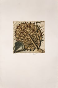 Brigitte Coudrain "L'Artichaut" Etching & Aquatint