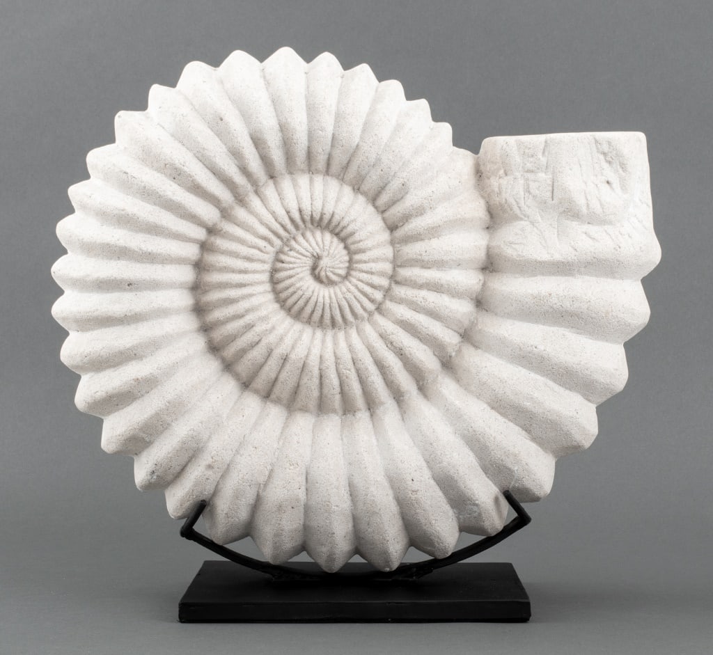 Nautilus Sculpture, 20th C. (1 of 12)