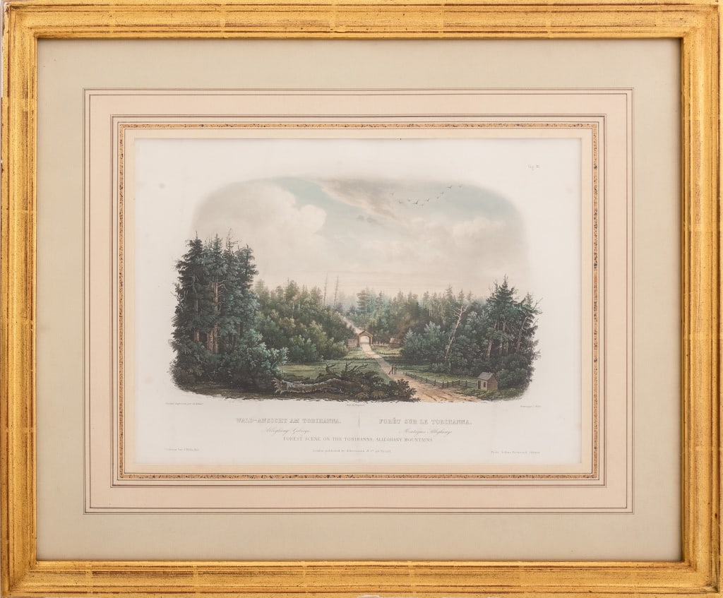 After Karl Bodmer "Forest Scene" Aquatint, 19th C. (1 of 4)