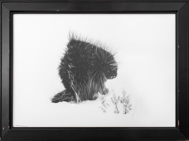 Steve Snyder Porcupine in Winter Photograph, 1988