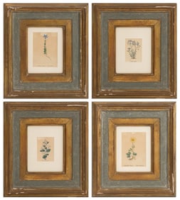 Botanical Hand-Colored Etchings, 4