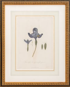 Robert Dunkarton "Iris.." Hand-Colored Engraving