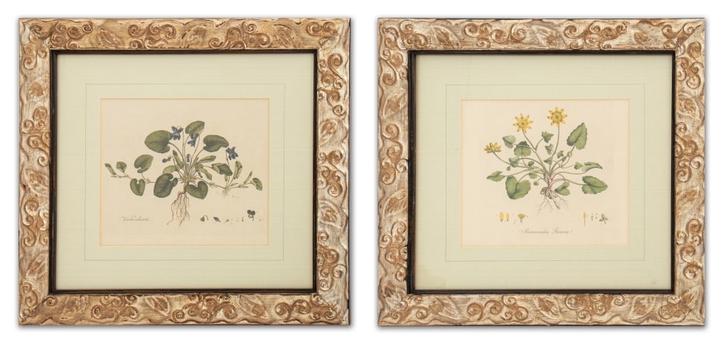 Botanical Hand-Colored Etchings, Pair (1 of 8)