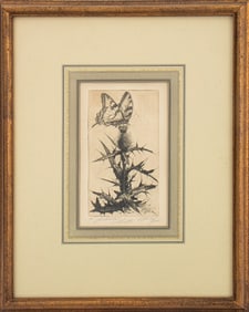 Sheldon Fink "Swallowtail & Thistle" Etching, 1969