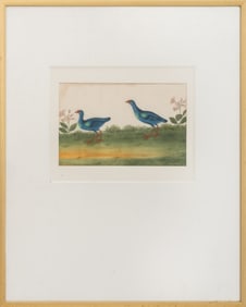 Chinese School Gallinules Gouache on Rice Paper
