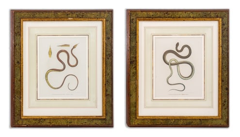 Leopold Joseph Fitzinger Snake Lithographs, 2