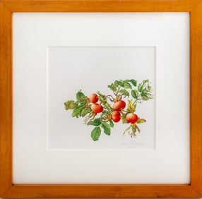 Jessica Tcherepnine "Rose Hips" Watercolor