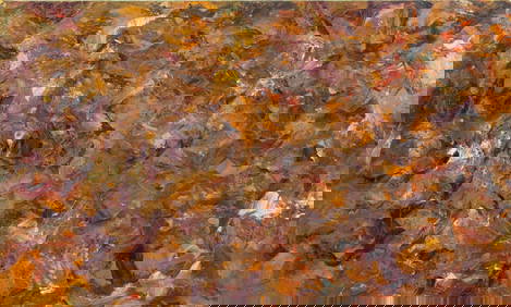 Andy Miller Abstract Composition Oil on Canvas (1 of 6)