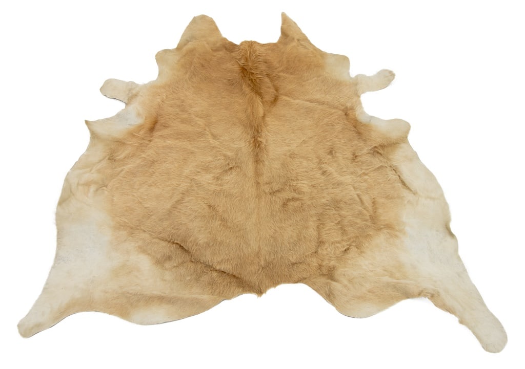 Brazilian Beige Cowhide Rug, 6' 7" x 6' (1 of 5)