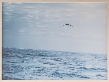 Dan Asher Iceberg Series Chromogenic Print, 2000