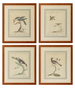 Severio Manetti Ornithological Engravings, 4