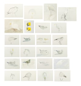 Judy Kitzman Studies of Birds Mixed Media, 25
