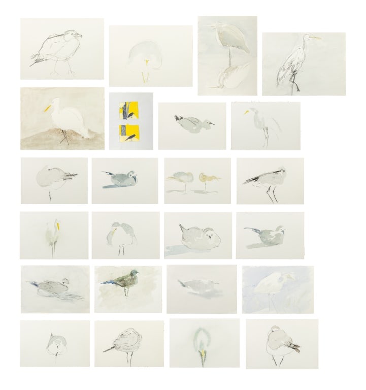 Judy Kitzman Studies of Birds Mixed Media, 25 (1 of 20)