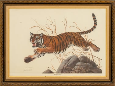 John A. Ruthven "Bengal Tiger" Offset Lithograph