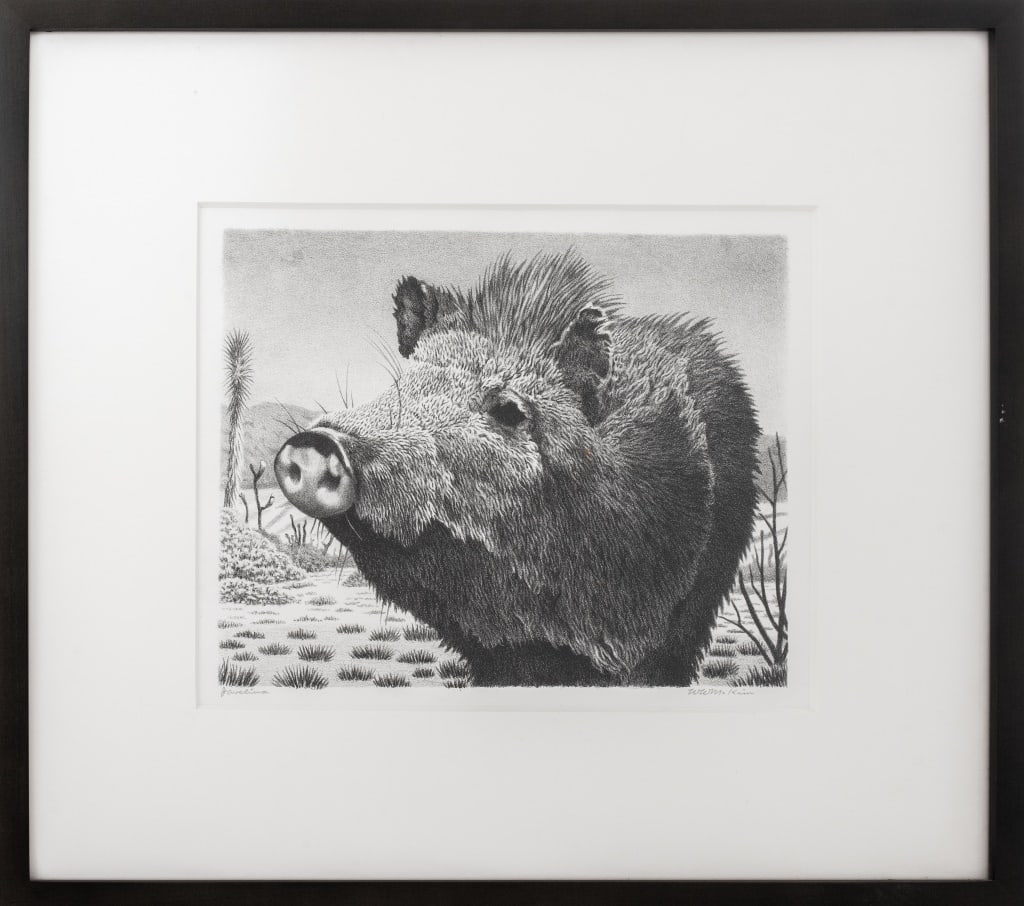 William Wind McKim "Javelina" Lithograph (1 of 6)
