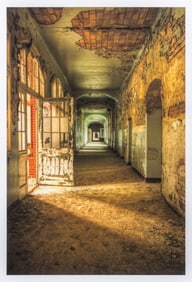 Raymond Ciborowski "As We Decay" Print, 2010