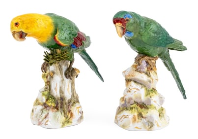 Meissen Porcelain Models of Parrots, Pair