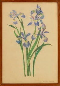 May Marshall Cannon Blue Irises Pastel